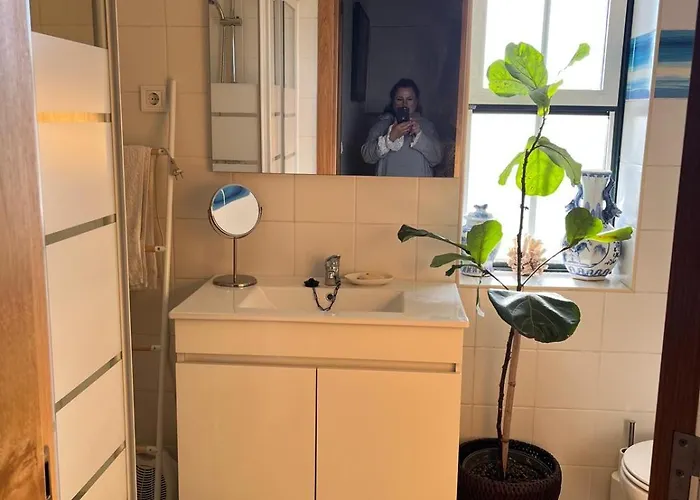 Séjour chez l'habitant Casa Do Caracol Oliveira de Azeméis